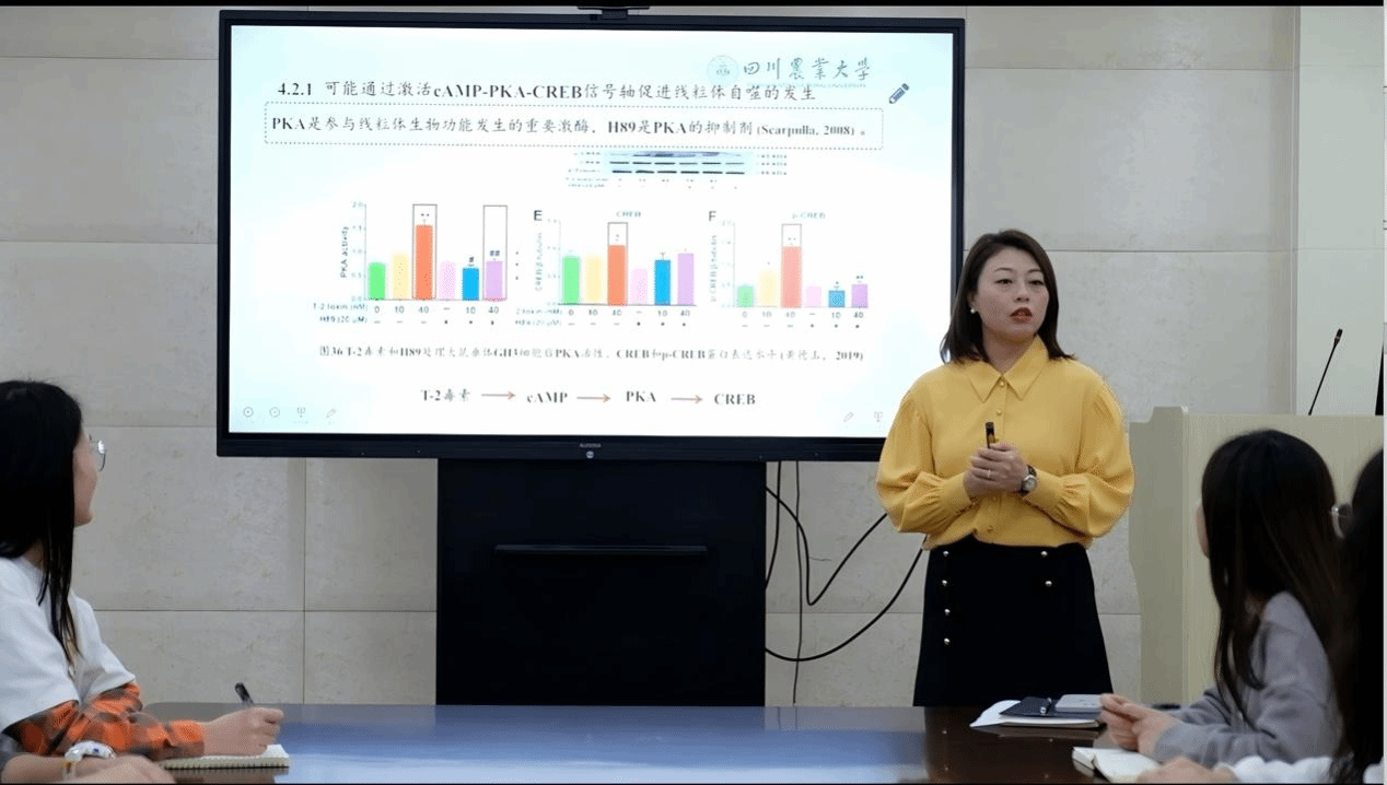 冯琳：在“小鱼儿的大世界”里书写师者大爱